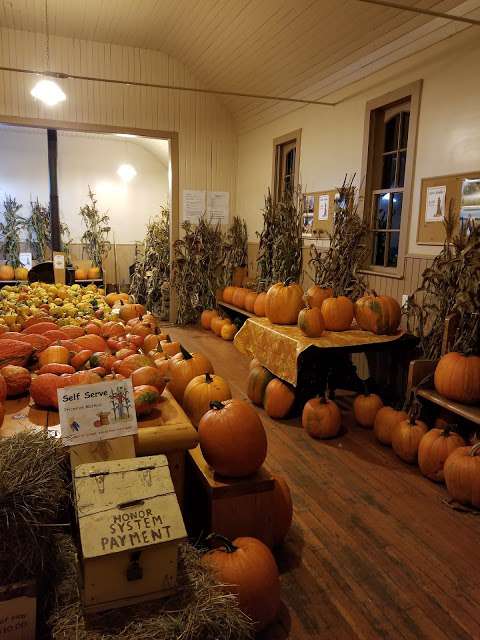 Mockingbird Hill Farm Mockingbird Hill Farm