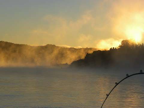 Redwood Sportfishing Charters